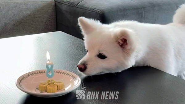 BTS RM '랩몬'  [서울=RNX뉴스 김용덕 기자 / 출처=@BTS_twt]