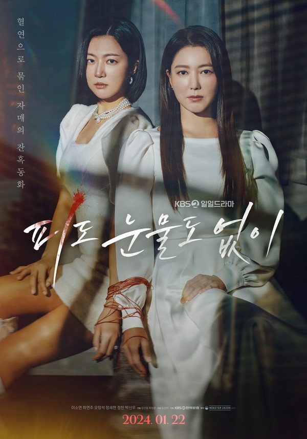 사진 제공: KBS 2TV 새 일일드라마 '피도 눈물도 없이'